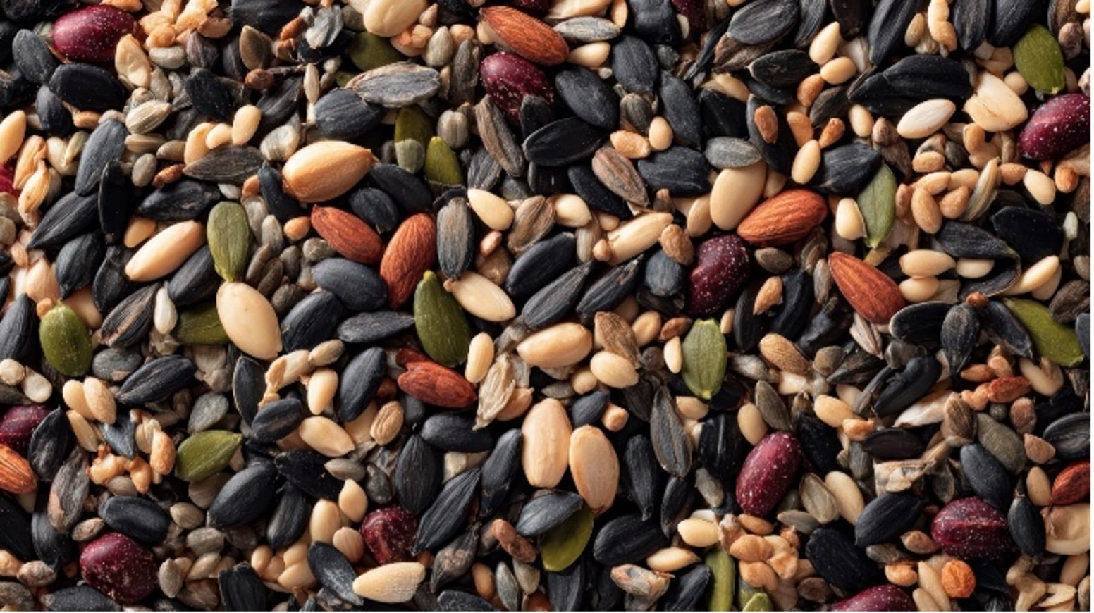 Magnesium capsules