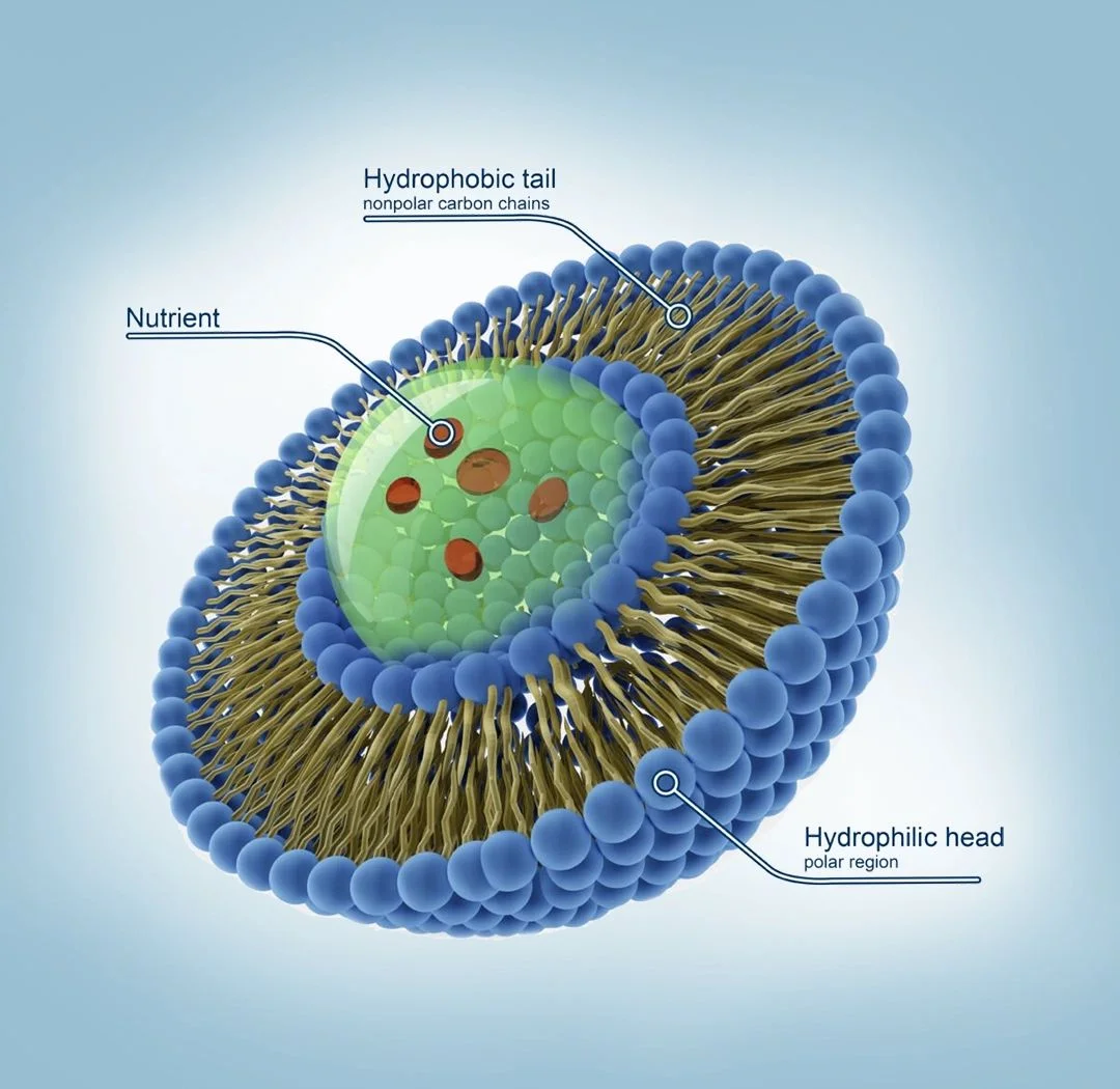 Lundevit B Complex Liposomal