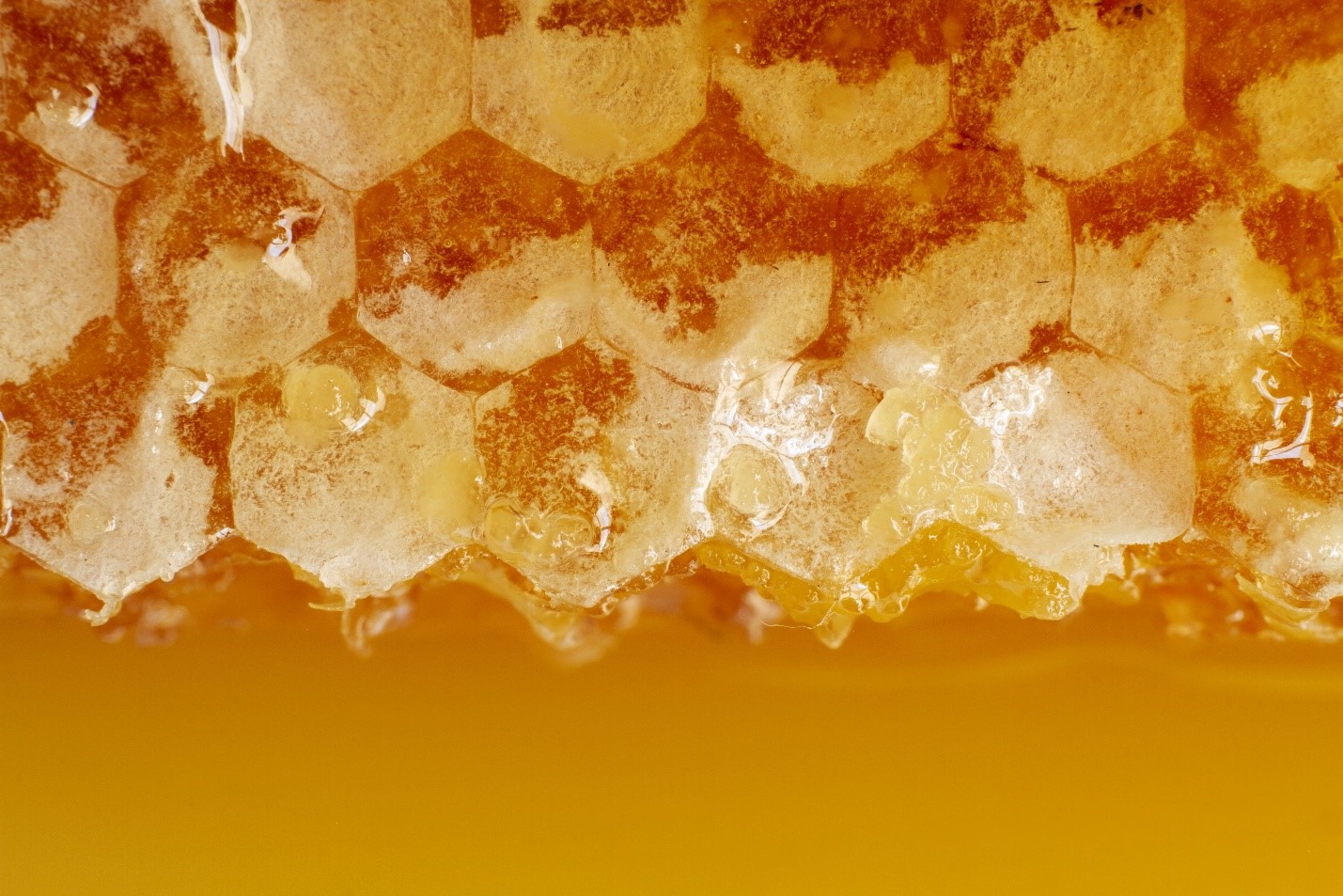 LUNDEVIT ROYAL 2000 Royal Jelly and Vitamin C